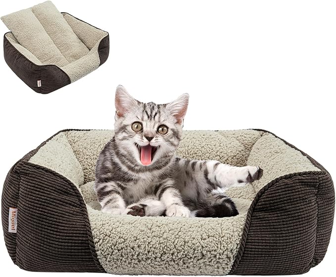 Miguel Washable Cat Beds for Indoor Cats, Easy to Wash Small Pet Sofa with Removable Cushion, Rectangle Bolster Kitten Bed with Anti-Slip Bottom, Brown 18 Inch