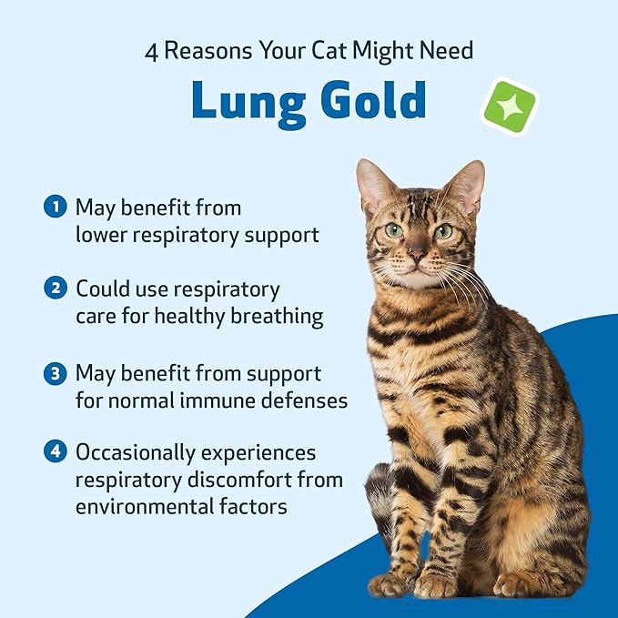 Pet Wellbeing Lung Gold for Cats - Lung Immune Support, Lower Respiratory Health, Open Airways, Normal Breathing, Reishi, Coptis - Veterinarian-Formulated Herbal Supplement - 2 oz (59 ml)