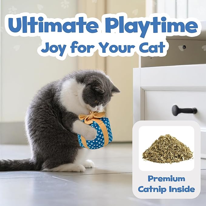Gift Box Cat Toy – Birthday Toys with Catnip, Plush Crinkle Present for Indoor Play, for Cats