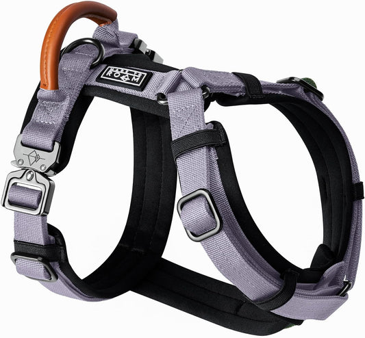 MADE TO ROAM Premium Explorer Harness - Y-Shaped Dog Harness with Adjustable Durable Nylon, Soft Padding, Metal Buckles and Leather Handle for Small, Medium, Large Dogs (Montana Moonrise, Size 6)