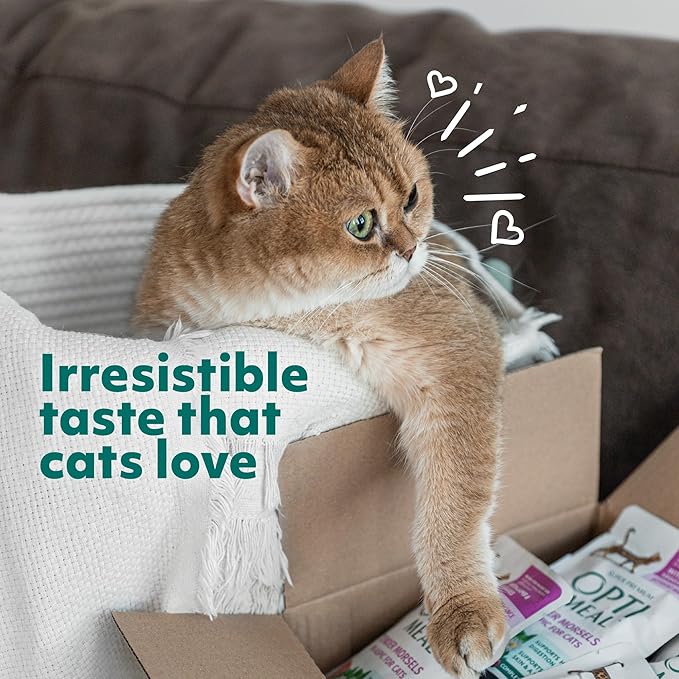 Optimeal Natural Dry Cat Food for Adult Cats - Proudly Ukrainian - Tasty and Nutritional Cat Food Dry Recipe with Immunity Support for Healthy Felines (3.3 lbs, Turkey & Barley)