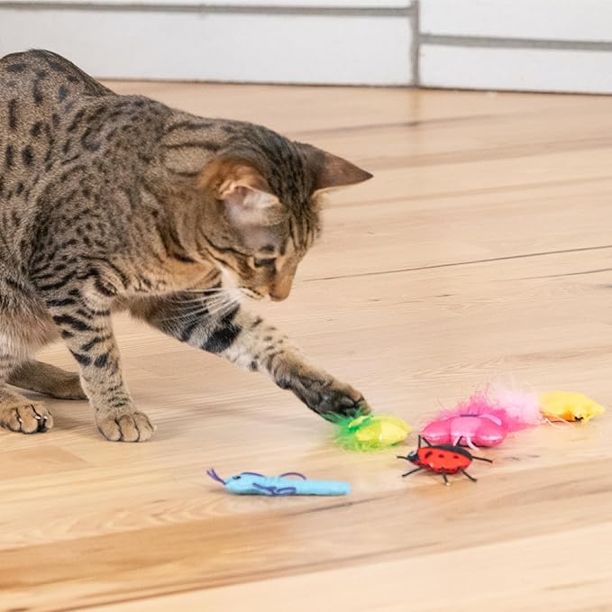 Catstages Cute as a Bug Cat Toys, 6-Pack Interactive Catnip Plush Toys with Crinkle, Feathers & Dental Mesh, Multicolored