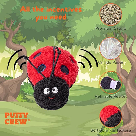 Interactive Catnip Cat Plush Toy, Insect Theme, 5'', for All Breed Size Cats (Ladybug)
