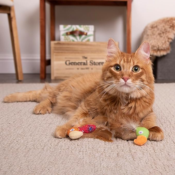 SmartyKat Instincts 2-Pack HappyNip Love Mates Feather Birds Plush Cat Toys, Contains Catnip & Silvervine - Orange/Green, 2-Pack