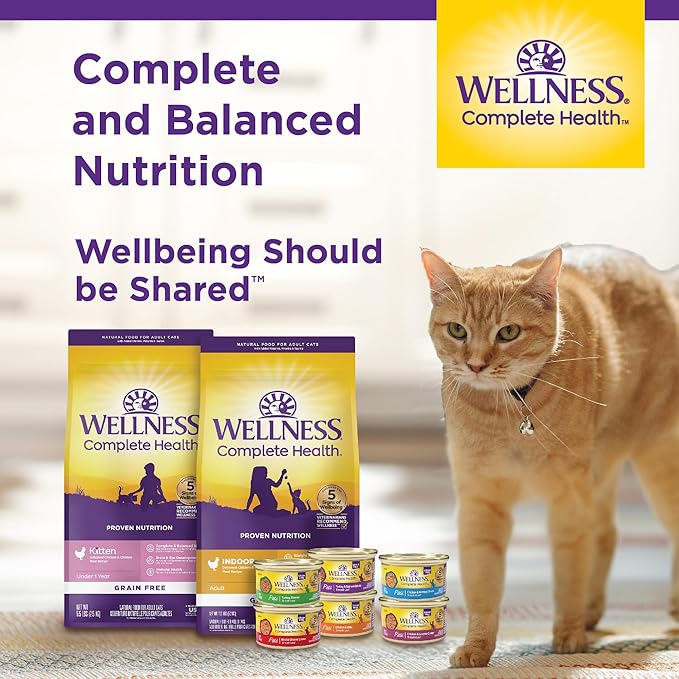 Wellness Complete Health Minced Adult Wet Cat Food, Natural, Protein-Rich, Grain Free, 5.5 Ounce, 24 Pack, (Turkey & Salmon Entrée)