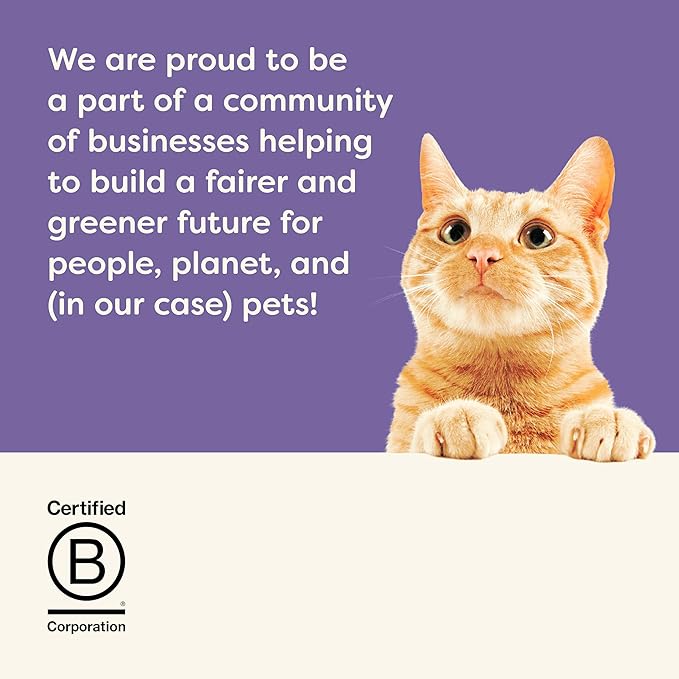 Applaws Natural Wet Cat Food, Limited Ingredient, Grain-Free, Protein with No Artificial Additives, Variety Pack in Broth (12 x 5.5oz Cans)