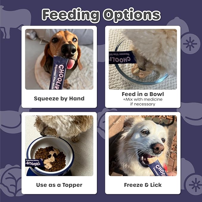 Squeeze Vita Stick Lickable Treats for Dogs & Cats. 7 Brain Support Sticks with Essential multivitamins. Soft and Tasty Paste for All Life Stages, Supporting Brain Health