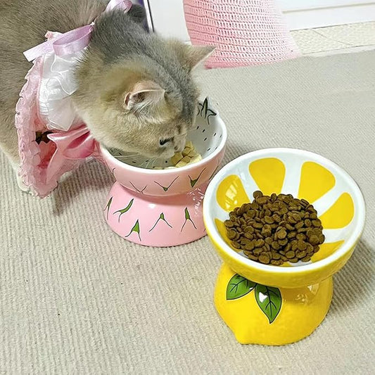 Hamiledyi Ceramic Raised Cat Bowl Anti Vomiting Elevated Tilted Cat Food & Water Bowls 2PCS Pet Feeder Dish for Indoor Kitty and Small Dogs(Lemons & Pitaya)
