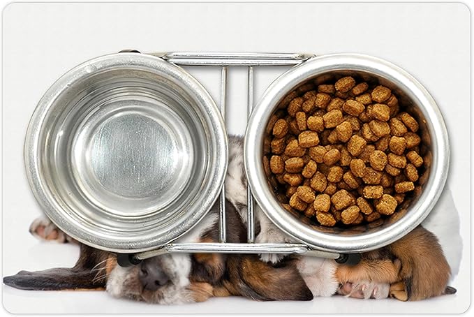 Lunarable Funny Pet Mat for Food and Water, Kitten Lying on The Puppies Basset Hound and Licks Sleeping Cuddle Picture, Non-Slip Rubber Mat for Dogs and Cats, 18" X 12", White Tan