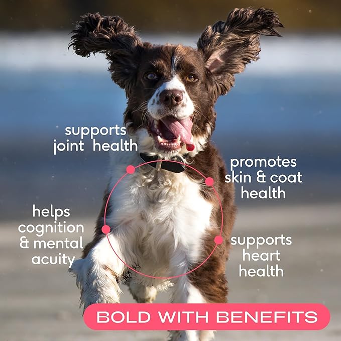 Native Pet Salmon Oil for Dogs & Cats – Pure Omega-3 Fish Oil for Dogs Supplement for Skin & Coat, Joint & Heart Health - Dog Anti-Inflammatory – 100% Wild-Caught Alaskan Sockeye Salmon – 8 oz