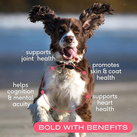 Native Pet Salmon Oil for Dogs & Cats – Pure Omega-3 Fish Oil for Dogs Supplement for Skin & Coat, Joint & Heart Health - Dog Anti-Inflammatory – 100% Wild-Caught Alaskan Sockeye Salmon – 8 oz