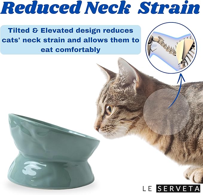 Ceramic Raised Cat Bowl, Elevated Pet Food Bowl for Small Dog, Cute Cat Dish Tilted, Whisker Fatigue, Wrinkle Texture,Teal, Blue (Tilted)
