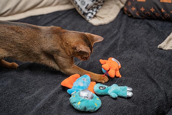 Interactive Catnip Cat Plush Toy, Space Travel Theme, 5‘’, for All Breed Size Cats (4 in 1)