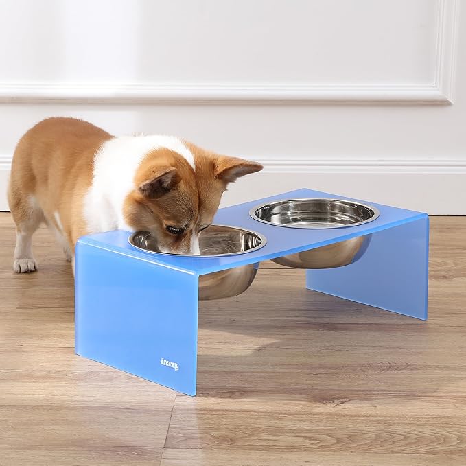THE LICKER STORE DBL2001C Keaton 7.5" Medium/Large Modern Acrylic Rectangular Elevated Pet Feeder with 54oz 2-Stainless Steel Bowls, Blue/Chrome
