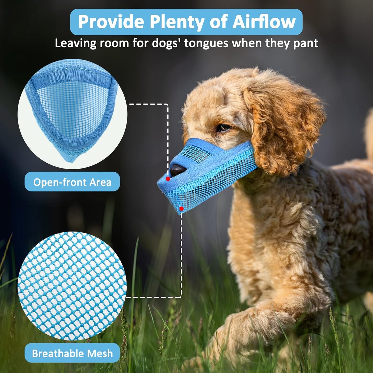 Crazy Felix Nylon Dog Muzzle for Small Medium Large Dogs Dachshund Beagle Poodle Labrador, Air Mesh Breathable and Drinkable Pet Mouth Guard for Anti-Biting Chewing Scavenging(M, Blue)
