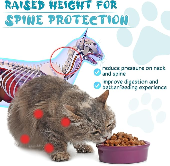 Roshtia 4 Sets Elevated Cat Bowls Ceramic Raised Cat Food Bowls with Metal Stand Dishwasher Safe Dishes Non Slip Elevated Food Plate(Green,Paw)