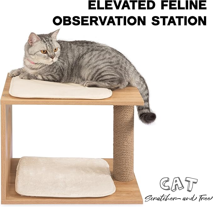 Modern Cat Tree & Condo - Natural Wooden Cat House Indoor with Cozy Kitten Bed, Elevated Perch & Integrated Scratching Post - Stylish Cat Furniture (18.3" D x 14.6" W x 14.6" H)