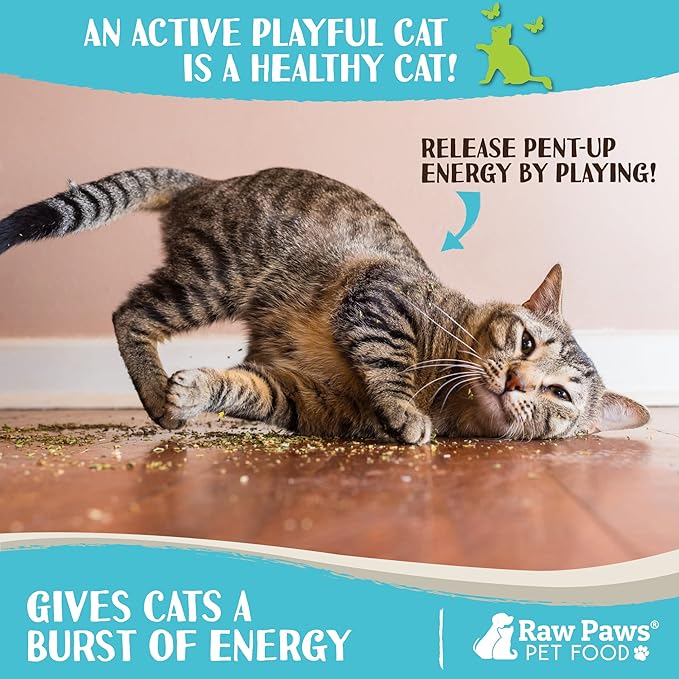 Raw Paws Fresh Catnip for Cats, 1-oz (2 Cups) - Use for Refillable Catnip Toys for Cats - Natural Dried Cat Nip