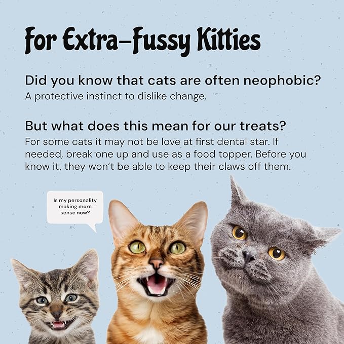 MalsiPree Cat Dental Treats - Chicken Base, 32-Count - Freeze Dried Cat Treats & Dental Chews - Freshens Breath & Minimizes Tartar - Anti-Choke Star Shape - Natural Lysozyme