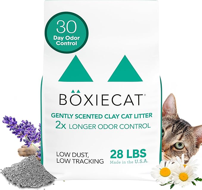 Boxiecat Gently Scented Premium Clumping Clay Cat Litter, 28-Pounds