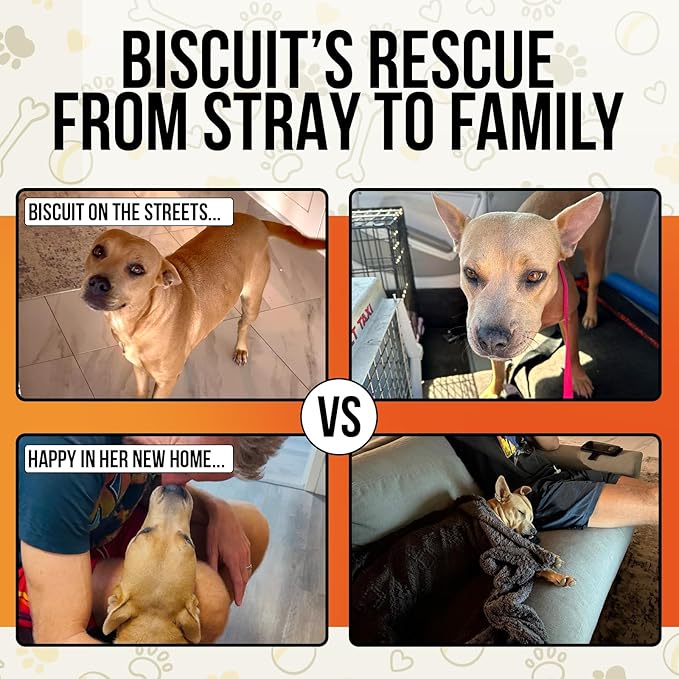 Hemp Oil for Dogs and Cats - 100% Organic Cold Pressed Oil - Made in The USA (30 mL)