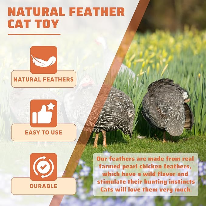 Handmade Natural Feather Cat Toy Dah Bird Refills - Interactive Cat and Kitten Toy - 6 Pack