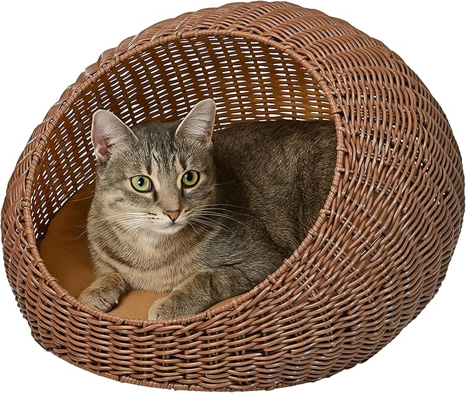 CBD3000B Fiora 19.5" x 18" Modern Circular Faux Wicker Pet Bed with Machine-Washable Cushion, Cat Beds for Indoor Cats, Brown
