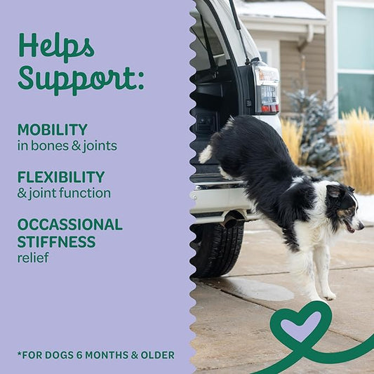 Wholesome Pride Hip & Joint Supplement for Dogs – 90 Soft Chews – Glucosamine, Chondroitin, MSM & Turmeric – Mobility Support & Arthritis Relief for Growing, Adult & Senior Dogs