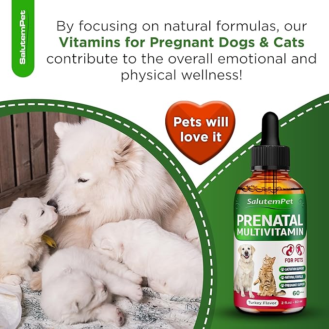 Dog Prenatal Vitamins for Moms During Lactating – Prenatal Vitamins for Dogs & Cats of All Breeds to Care for Pet Development – Multivitamin for Cats – 2 Oz – Herbal Supplement for Pets
