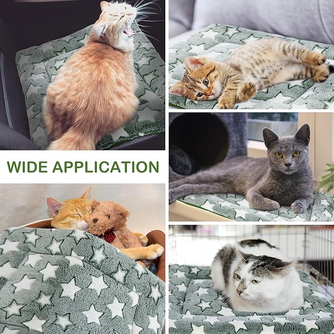 4 Pcs Washable Dog Crate Mat Kennel Pad Replaceable Reversible Pet Bed Pad for Crate Pet, Sleeping Mat for Small, Medium, Large Dog Machine Washable(18 x 24 x 1.6 Inch,Green)