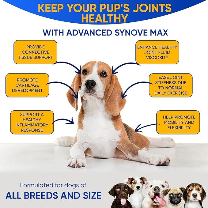 Synove Max Soft Chews for Dogs (240 Count) Beef Flavor, Joint Supplement, Glucosamine, Turmeric, Boswelllia serrata, Creatine Naturally Derived Ingredients better than synovi g4 soft chew