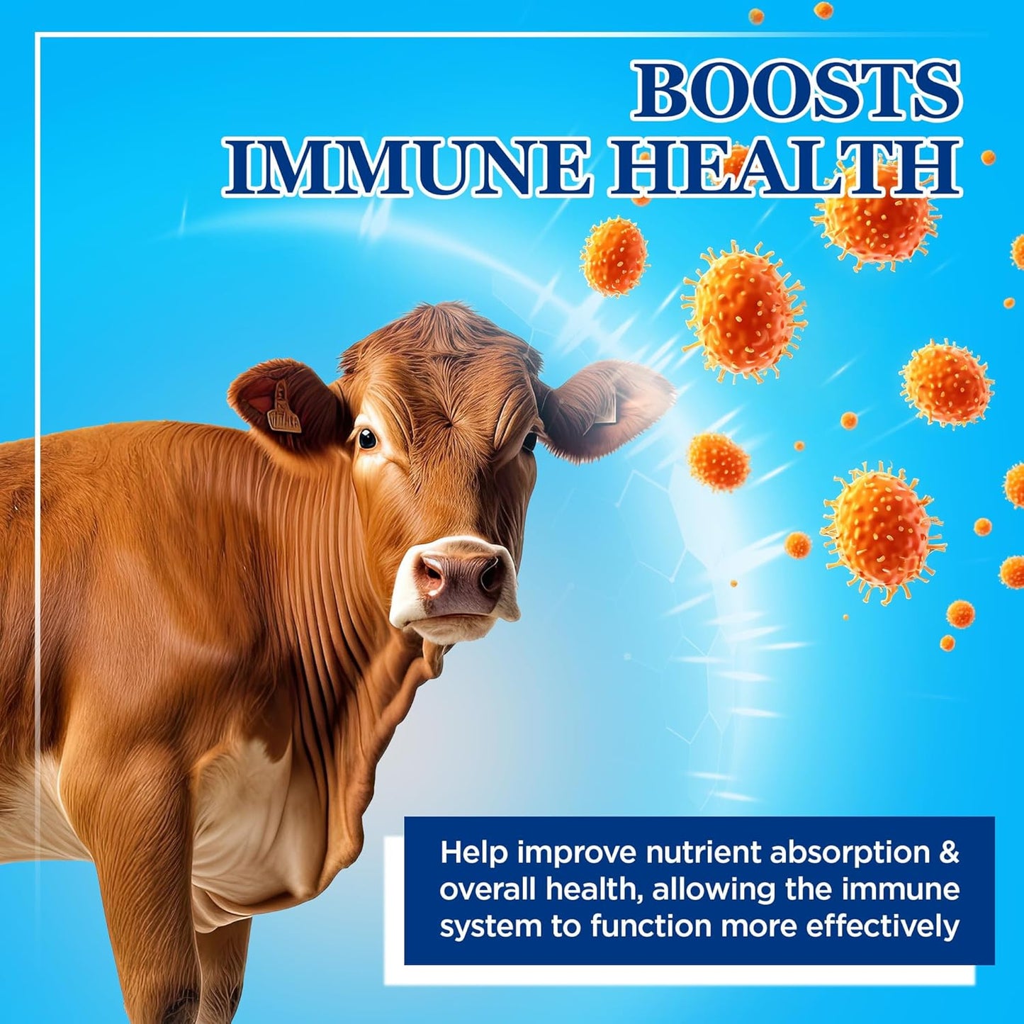 Equerry's Large Animal Probiotic | Supplements for Gut Health and Nutrient Absorption | Probiotics and Digestive enzymes for Horses, Cows, Goats, Sheep, Pigs, 160 Feedings (20lbs) for 1000 lb Animal