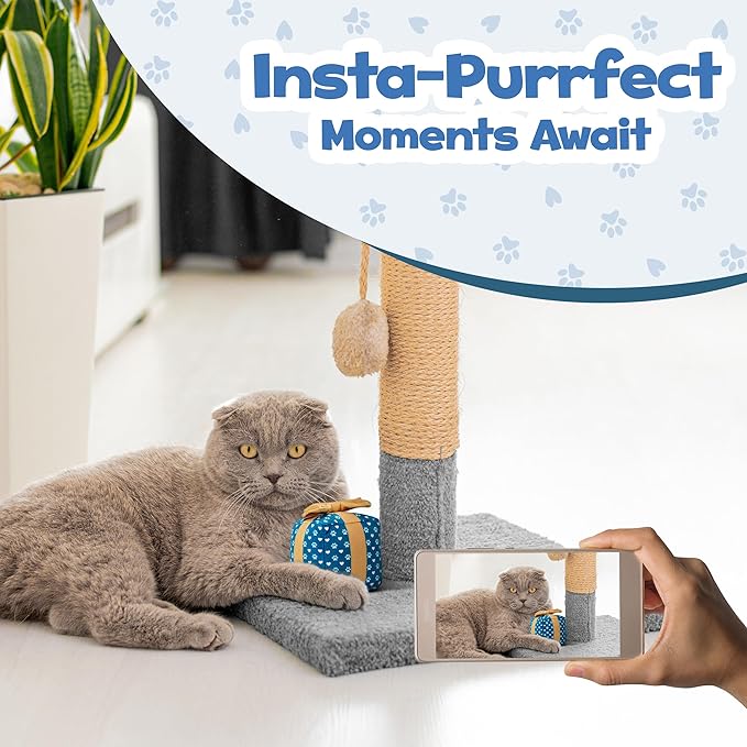 Gift Box Cat Toy – Birthday Toys with Catnip, Plush Crinkle Present for Indoor Play, for Cats