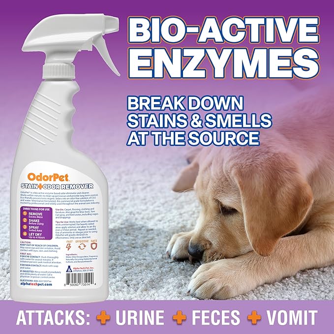 OdorPet Pet Stain Remover and Odor Eliminator - 16 Oz Ready To Use Spray, Non Staining, Professional Strength, Lavender Scent by Alpha Tech Pet