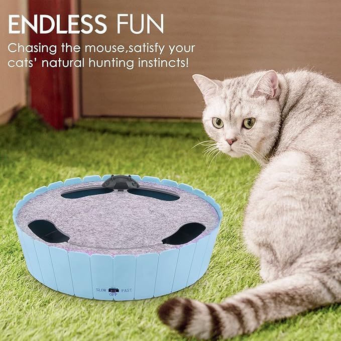 Pawaboo Interactive Cat Toy With Running Mouse, Electronic Motion Automatic Teaser for Indoor Cats, Pop and Play Hide Seek Hunting Mouse for Pet Kitten Play Fun Exercise, Blue