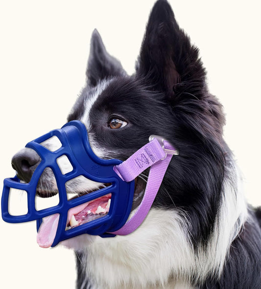 Dog Muzzle, OKKIC Basket Muzzle Anti Biting Chewing, Sturdy Lightweight Muzzle Allows Panting Drinking,Muzzle for Small Medium Large Dogs, Suitable for Grooming Trimming Training (Blue, Size3)