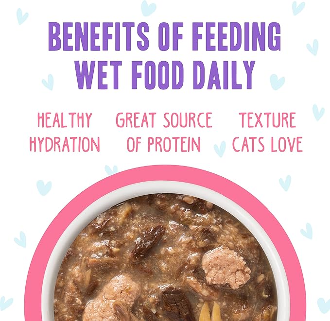 Weruva B.F.F. OMG - Best Feline Friend Oh My Gravy!, Date Nite! with Duck & Salmon in Gravy Cat Food, 2.8oz Pouch (Pack of 12)