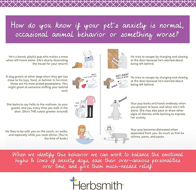 Herbsmith Calm Shen – Herbal Blend for Dogs & Cats – Natural Anxiety Remedy for Dogs & Cats – Feline and Canine Calming Supplement – 75g Powder