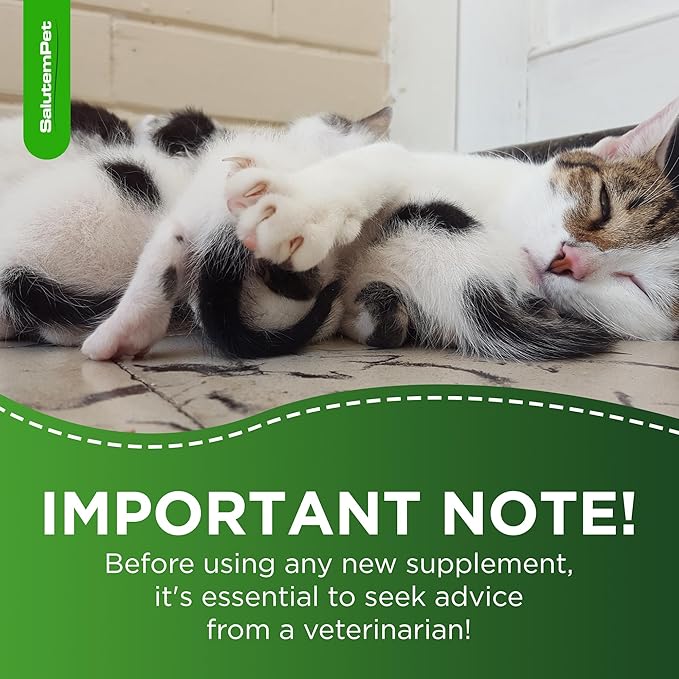 Dog Prenatal Vitamins for Moms During Lactating – Prenatal Vitamins for Dogs & Cats of All Breeds to Care for Pet Development – Multivitamin for Cats – 2 Oz – Herbal Supplement for Pets