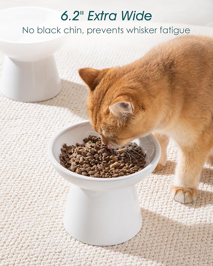 vancasso Elevated Cat Bowls 2-Pack, Ceramic Raised Cat Food and Water Dishes with 5.1" Height & 6.2" Wide Opening - Anti Vomit, Whisker Fatigue Relief for Senior Cats, Kittens and Small Dogs (White)
