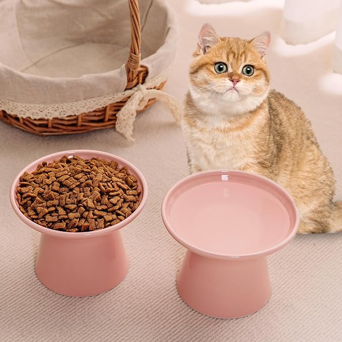 6.2 Inch Extra Wide Elevated Ceramic Cat Bowls, Food and Water Bowl Set for Elder Big Cats Small Dogs, Raised Design for Pet Easy Eating, Protect Cat's Spine Set of 1(Pink)