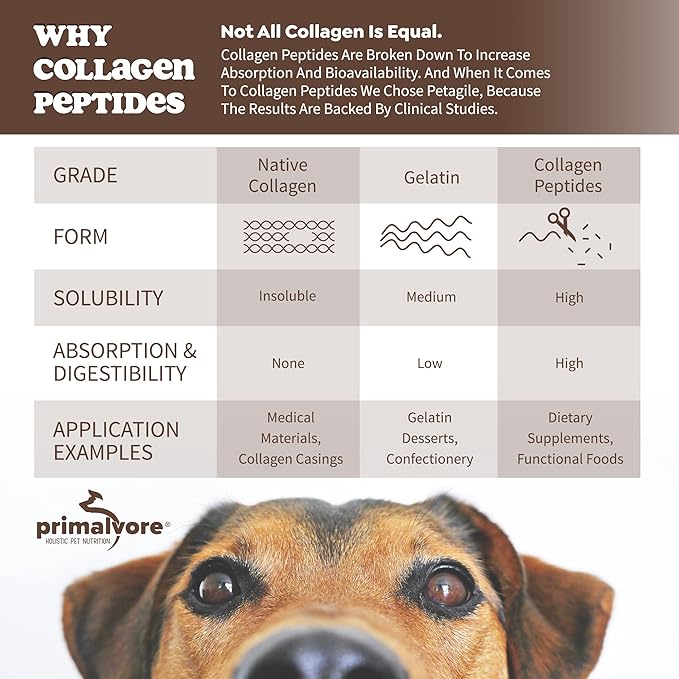Primalvore Free-Range Bone Broth for Dogs &Cats, Mobility Formula w/Collagen Peptides to Help Support Hip & Joints, Digestion, Skin & Coat and Hydration, Human Grade, Made in USA. Chicken 6 Pack