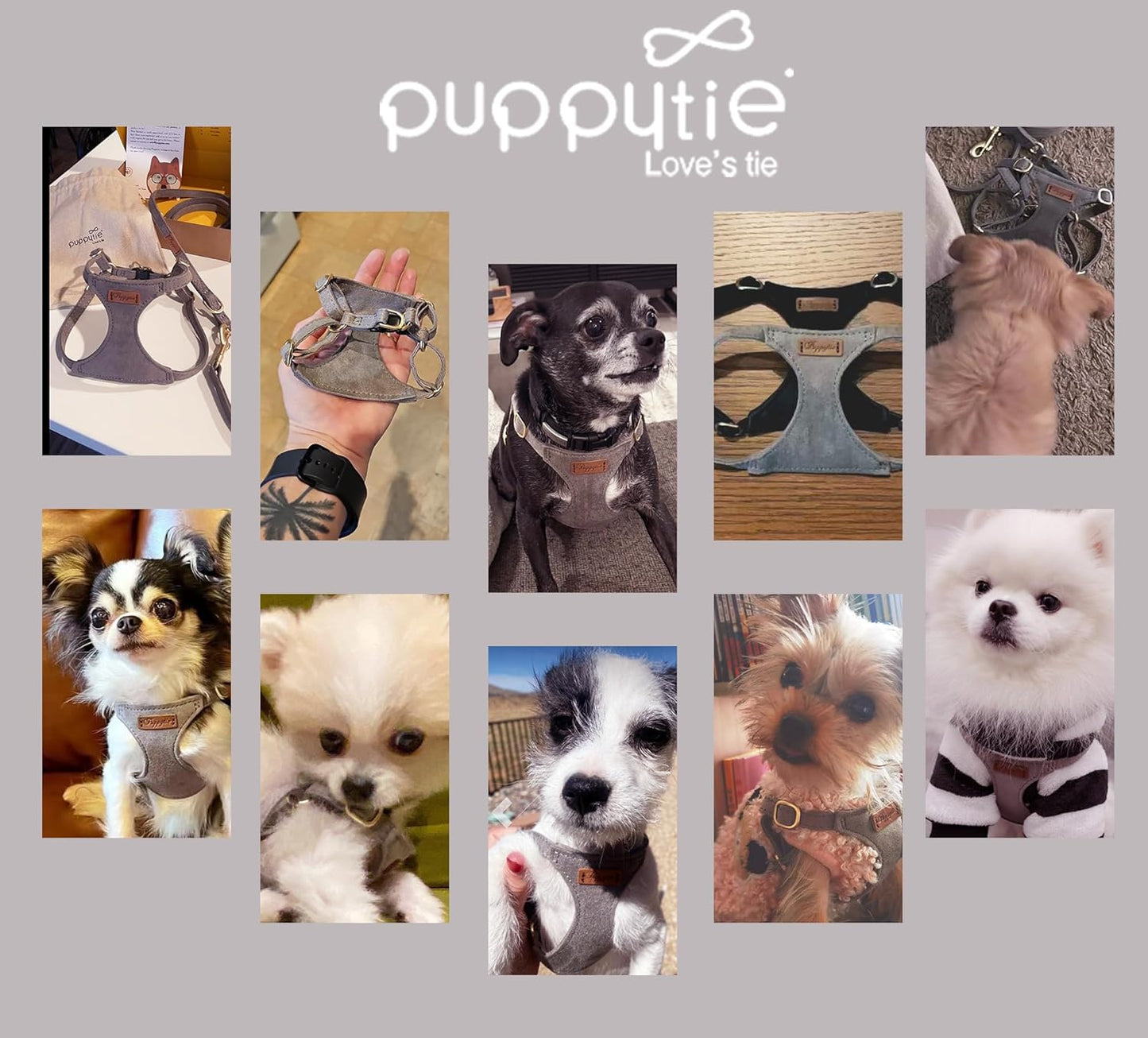 Puppytie No Pull Small Dog Harness with Multifunction Dog Leash,Lightweight Soft Adjustable No Choke Escape Proof Pet Harness Vest Pet Harness Vest,Silver Grey,S