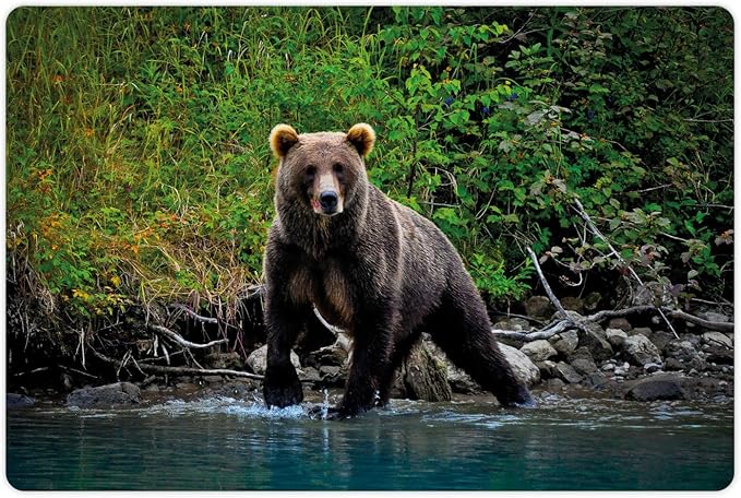 Lunarable Cabin Pet Mat for Food and Water, Grizzly Brown Bear in Lake Alaska Untouched Forest Jungle Wildlife Image, Non-Slip Rubber Mat for Dogs and Cats, 18" X 12", Brown Green