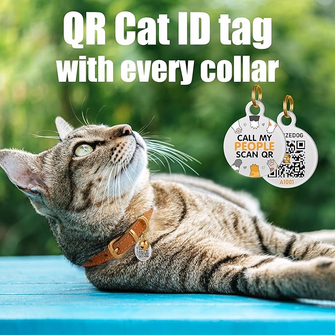 BRONZEDOG Leather Cat Collar with Removable Bells Non Breakaway Kitten QR Tag for Girl Boy (9" - 12" Cats/Mini Dogs, Brown & Silver)