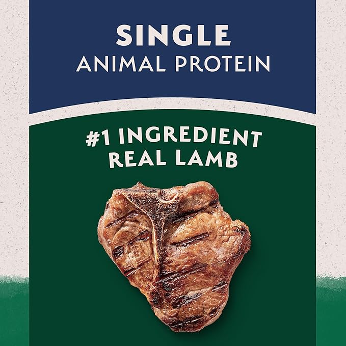 Natural Balance Limited Ingredient Adult Dry Dog Food with Healthy Grains, Lamb & Brown Rice Recipe, 12 Pound (Pack of 1)