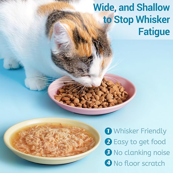 Non-Slip Cat Bowls, Ceramic Cat Food Bowl Set with Silicone Base, Cats Dishes, Cute Plates for Feeding Indoor Cats, Kitten, Small Dogs (Multi4, Shallow)