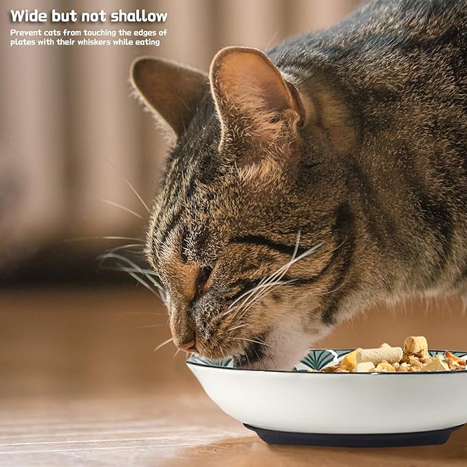 3Pcs Ceramic Cat Food Bowls, 5.5 Inches with Nonslip Silicone Bottom, Anti Whisker Fatigue Plates for Indoor Kittens, Wide Shallow Dishes for Dry and Wet Food