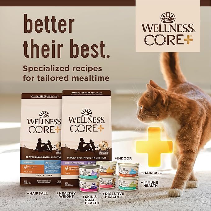 Wellness CORE+ Hairball Adult Dry Cat Food for Indoor & Outdoor Cats, Grain Free, Natural, Chicken and Chicken Meal (4.75 Pound Bag)