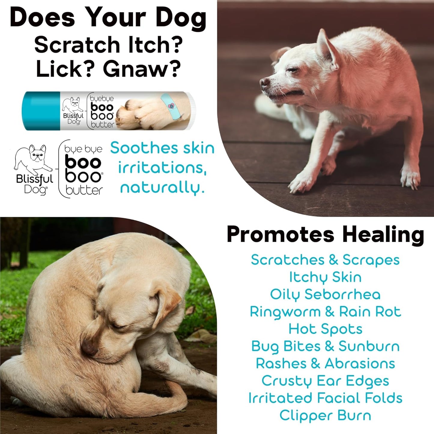 Shiba Inu Boo Boo Butter, 16-Ounce